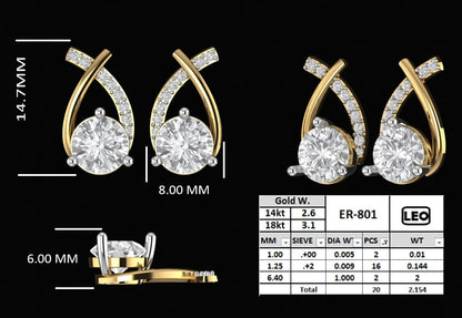 Elegant 2 Tone Gold Diamond Earrings